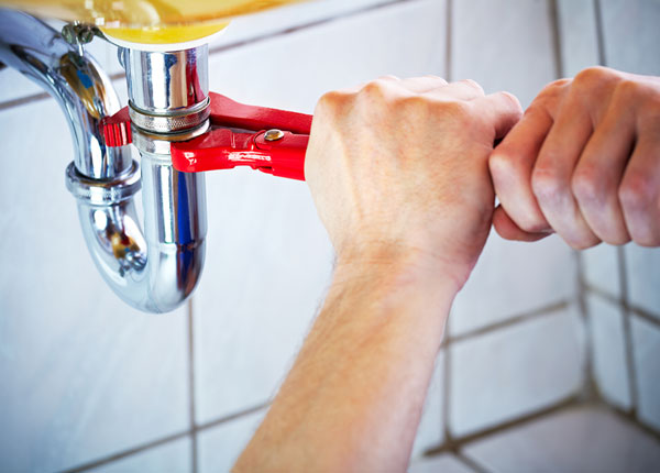 About Forestville Plumbers